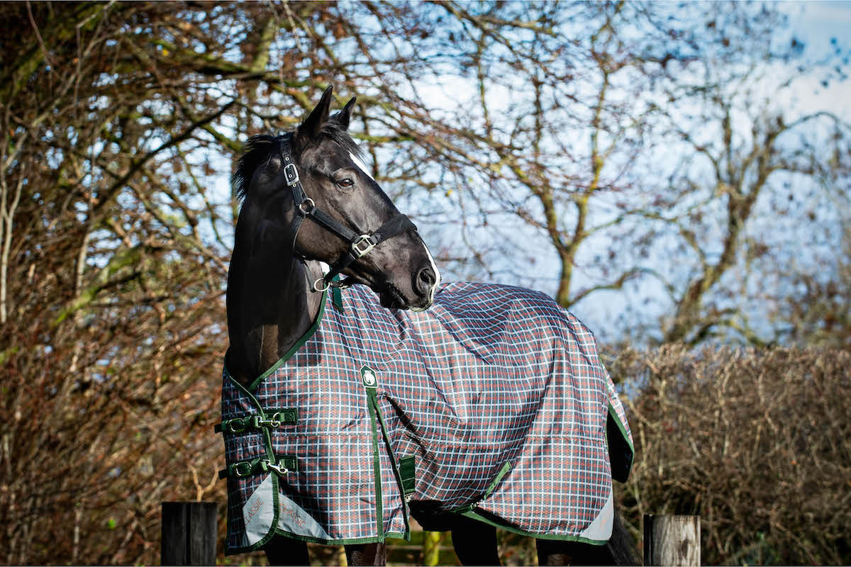 Epic Classic 50g Turnout Rug - Regular Fit
