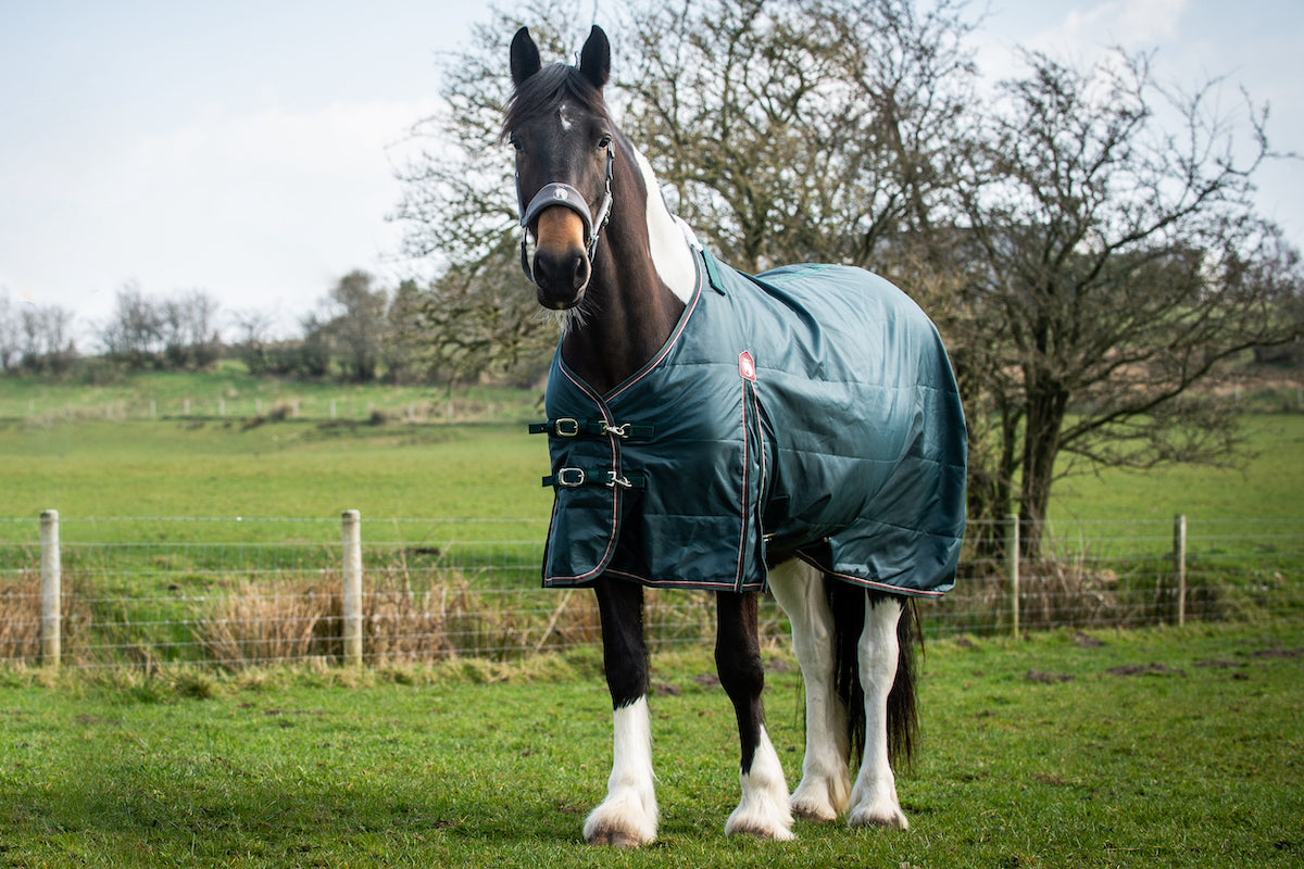 Epic Essential 200g Stable Rug - Regular Fit