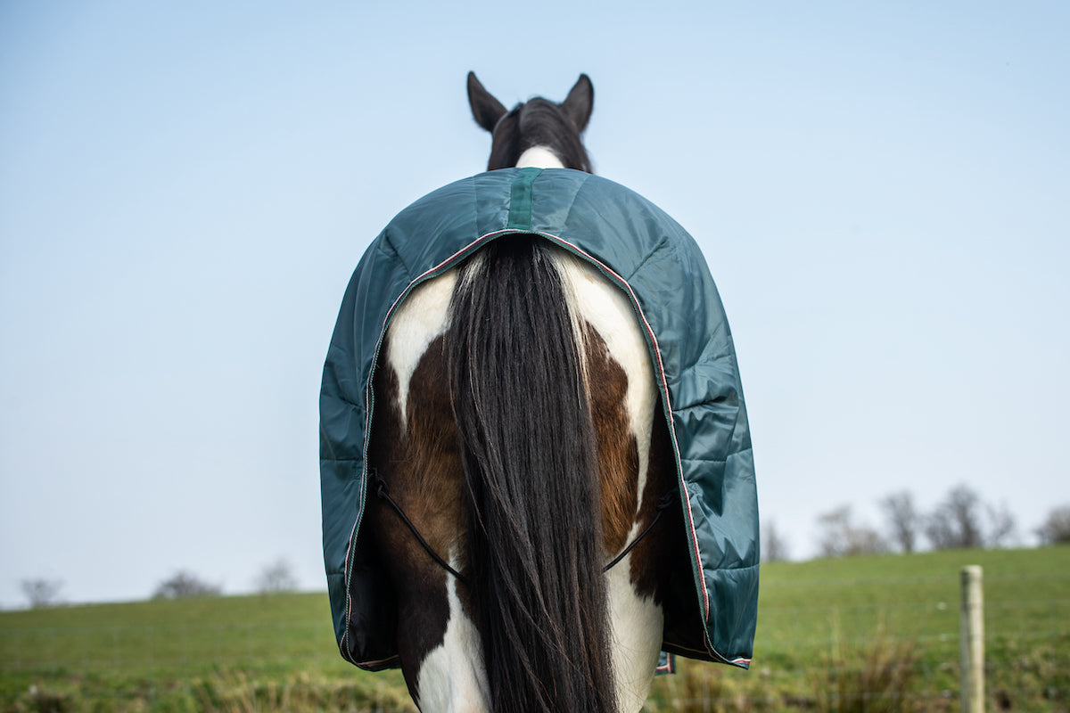 Epic Essential 50g Stable Rug - Regular Fit