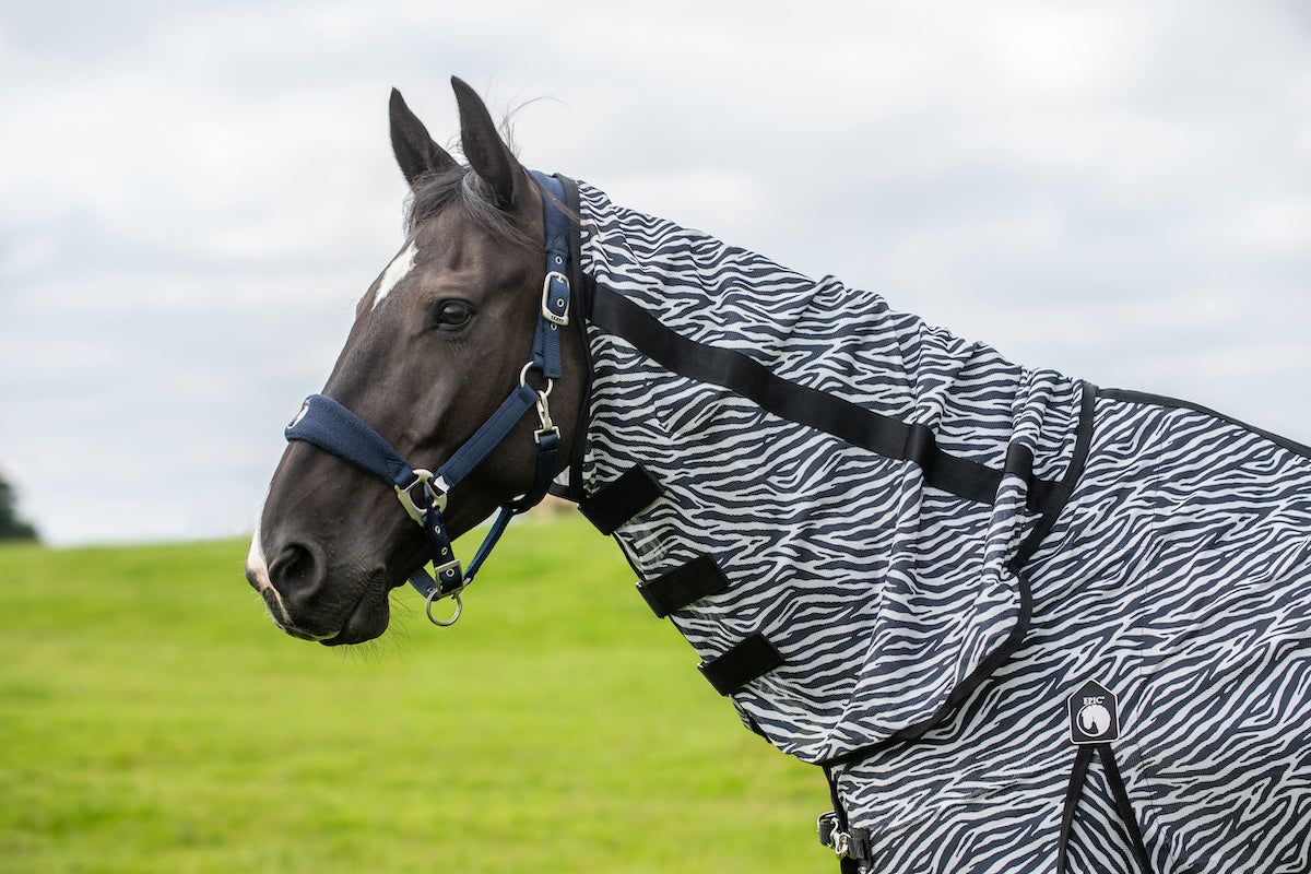 Epic Classic Zebra Fly Rug - Regular Fit