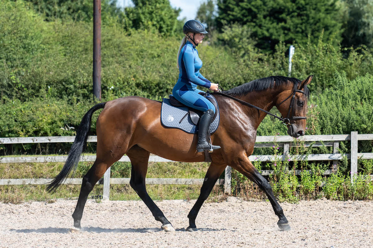 Epic Rider Riding Tights - Knee Grip