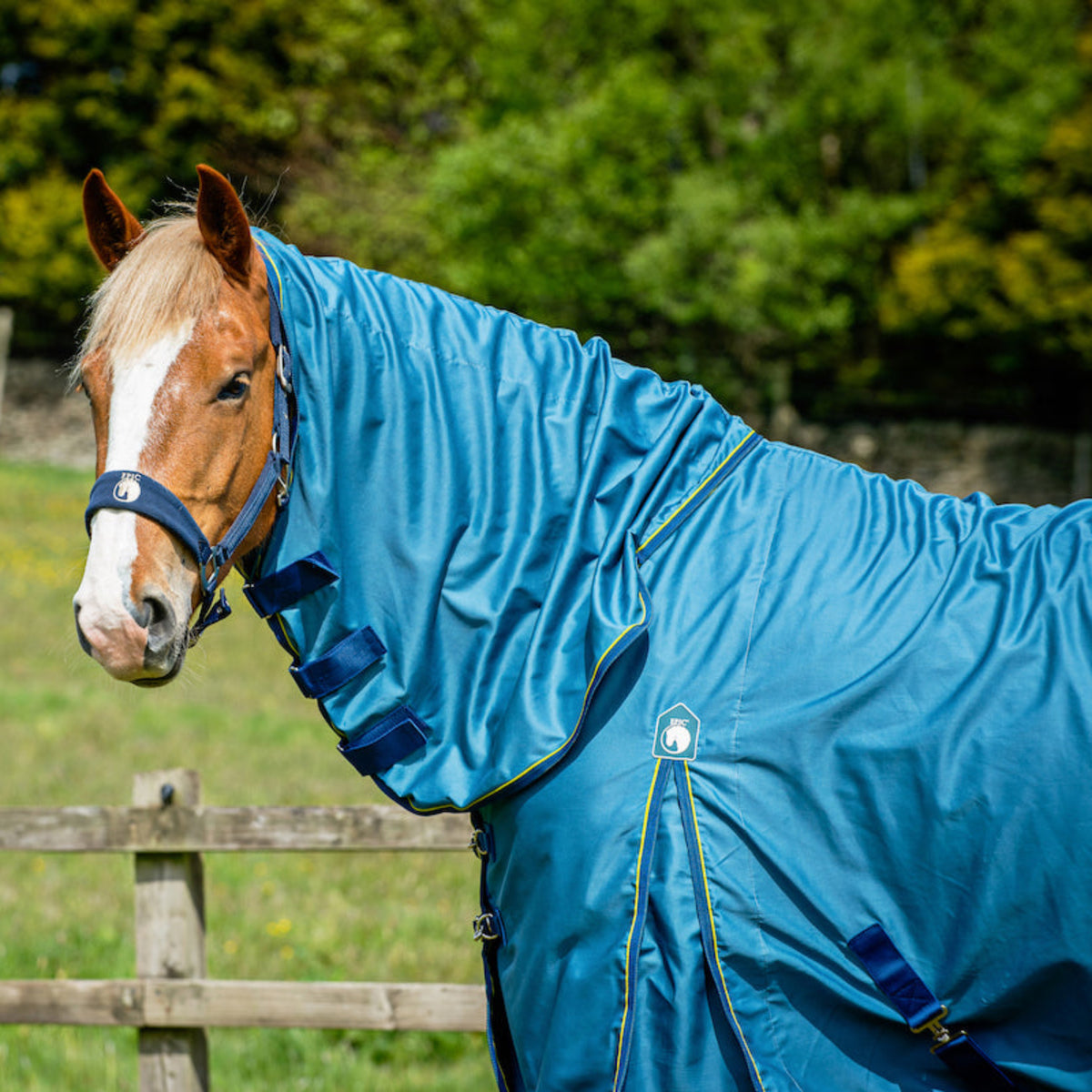 Epic Classic Cotton Sheet Combo - Broad Fit - Hydro Blue