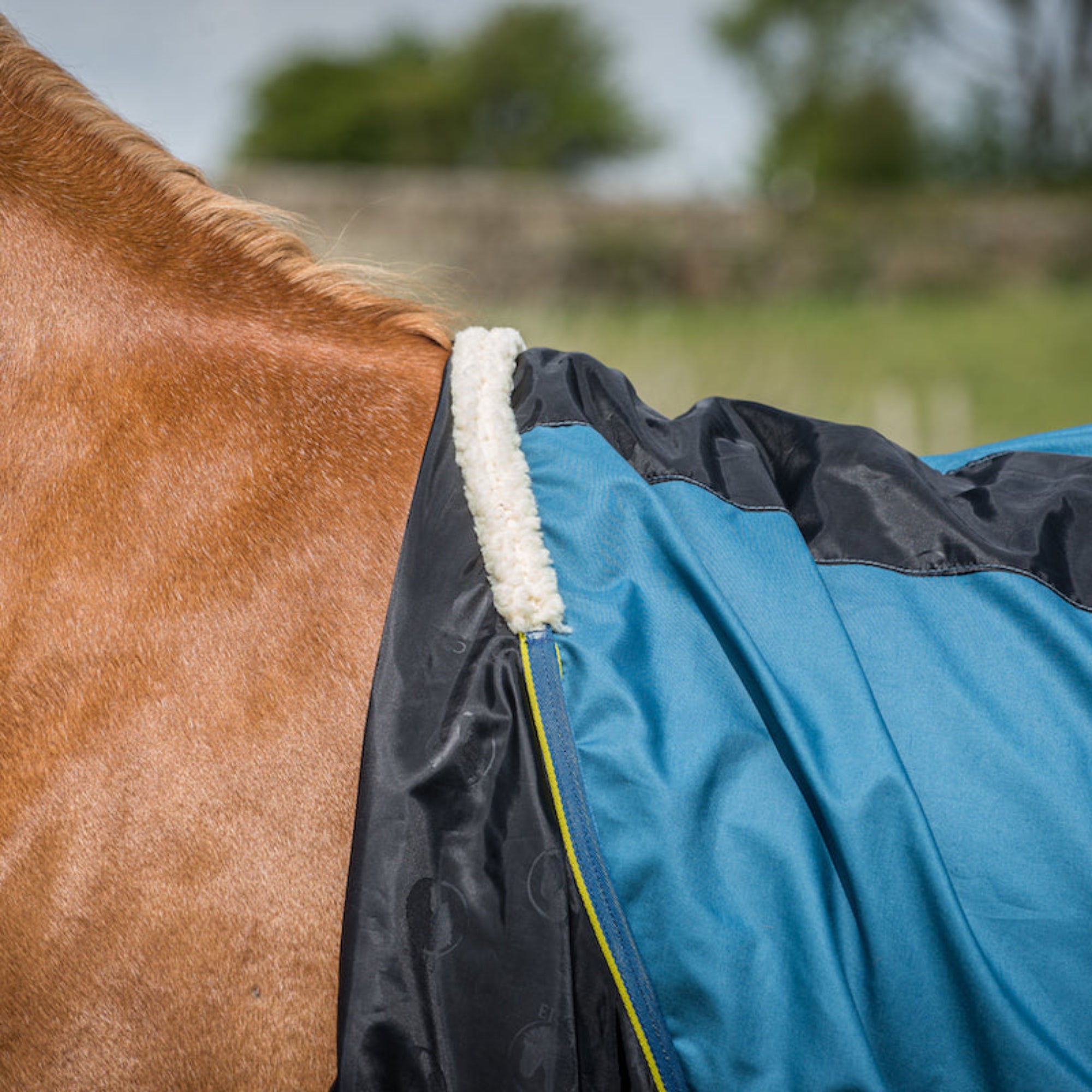 Epic Classic Cotton Sheet Combo - Broad Fit - Hydro Blue