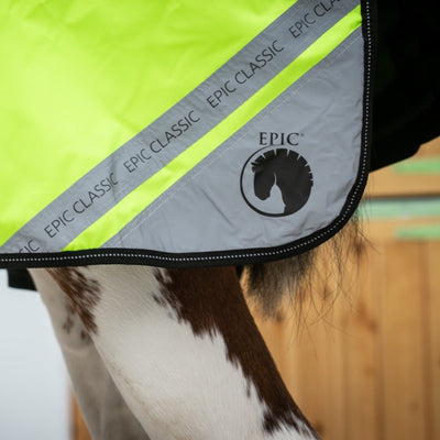 Close-up of a horse wearing an EPIC Classic horse blanket, showing the bright neon yellow body panel, reflective gray diagonal stripe with black text, and the horse's brown and white coat underneath.