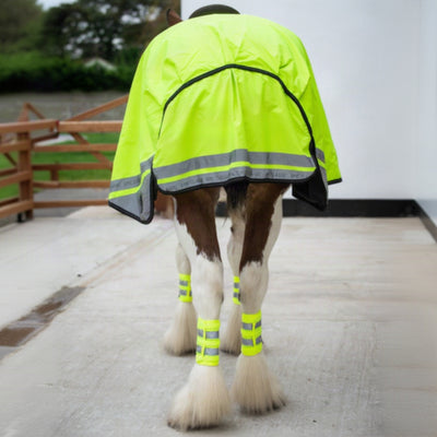 Epic Classic Exercise Sheet - Fluorescent Yellow