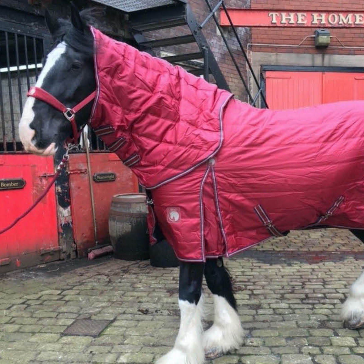 A heavy horse wearing a red stable hood with a broad fit, standing in front of a brick wall with a 'The Home of Thyfe' sign in the background.
