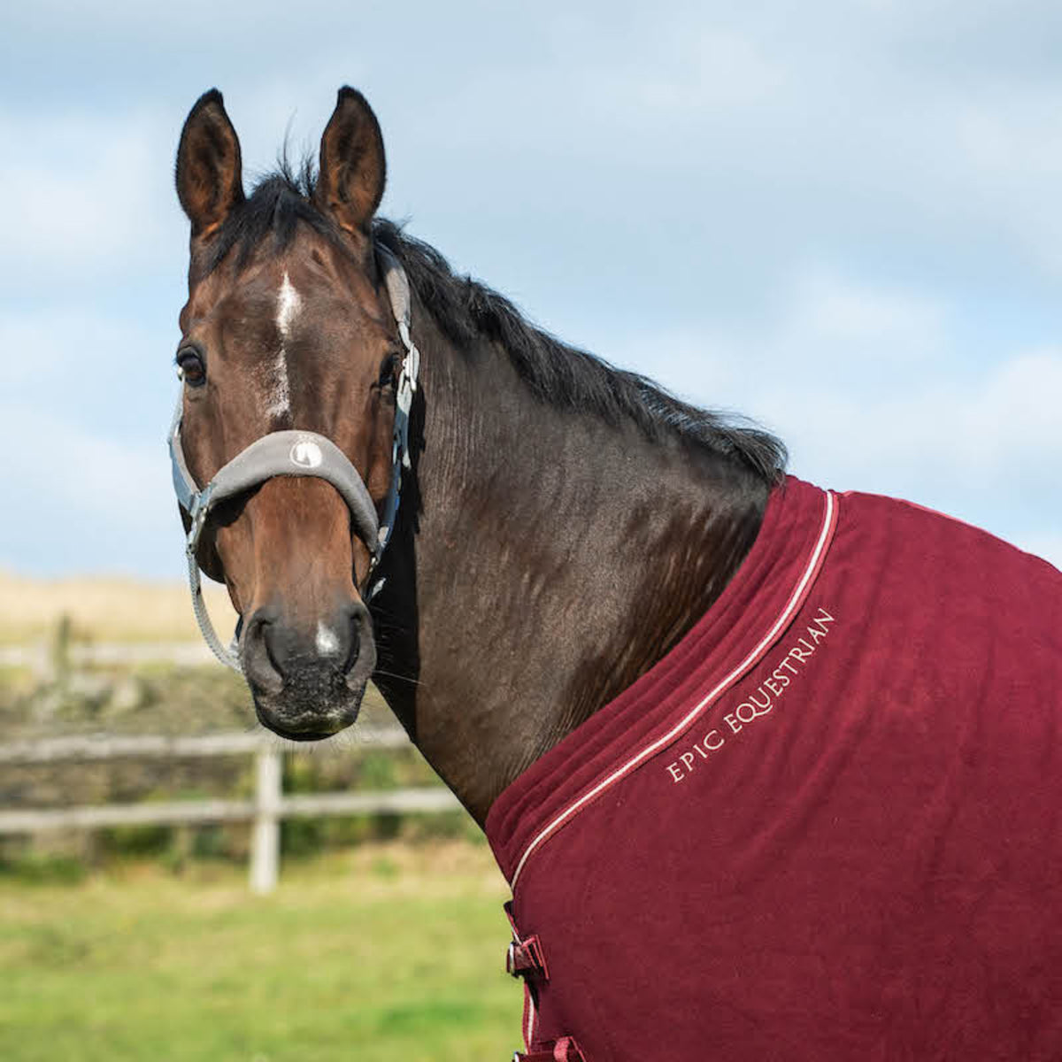 Epic Classic Deluxe Fleece Cooler - Regular Fit - Port