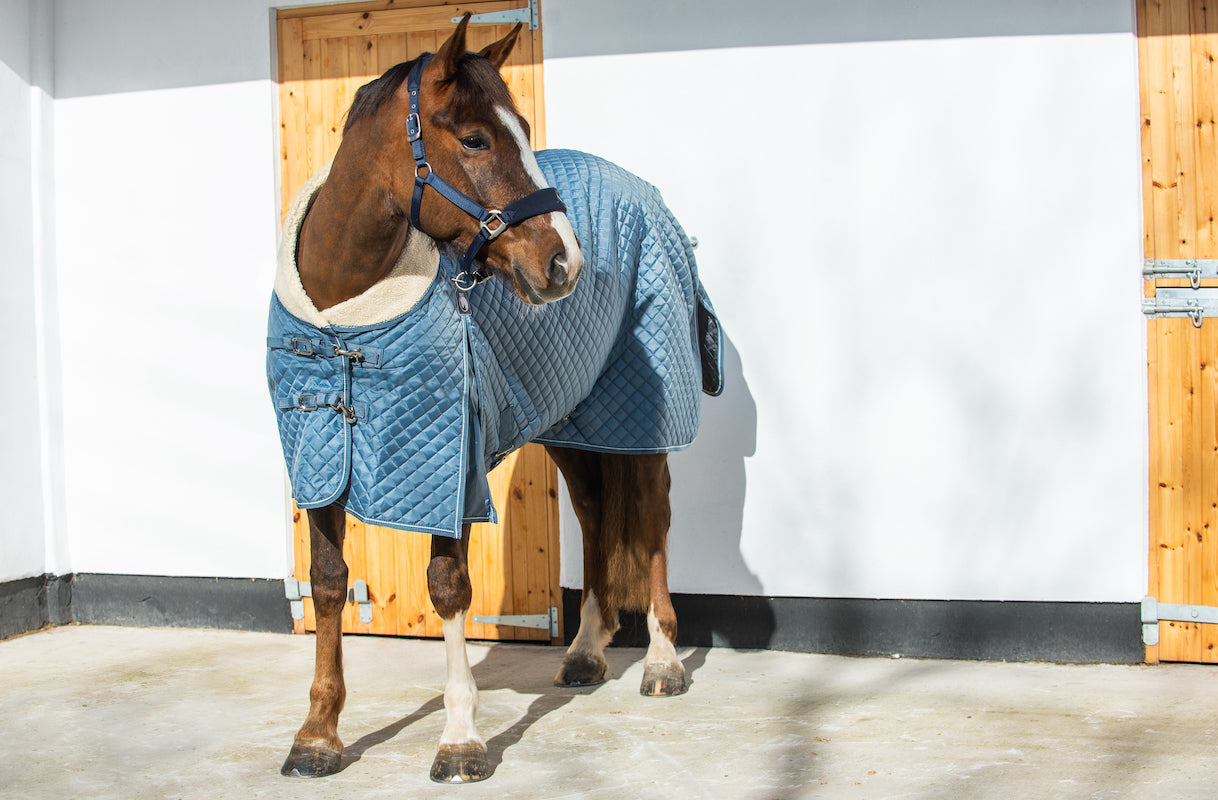 Epic Classic 50g Stable Rug - Regular Fit